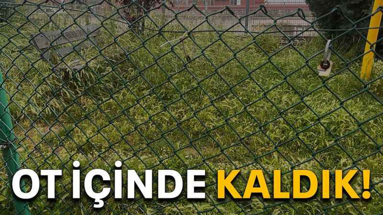 Ot içinde kaldık!